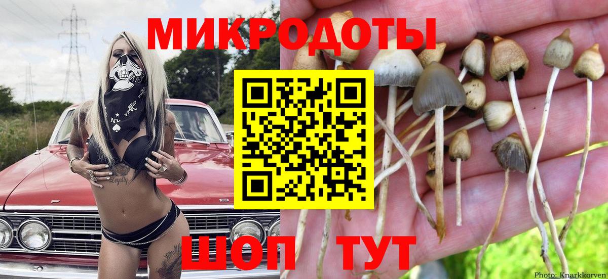 Галлюциногенные грибы Cubensis  Вход с VPN  Карпинск 